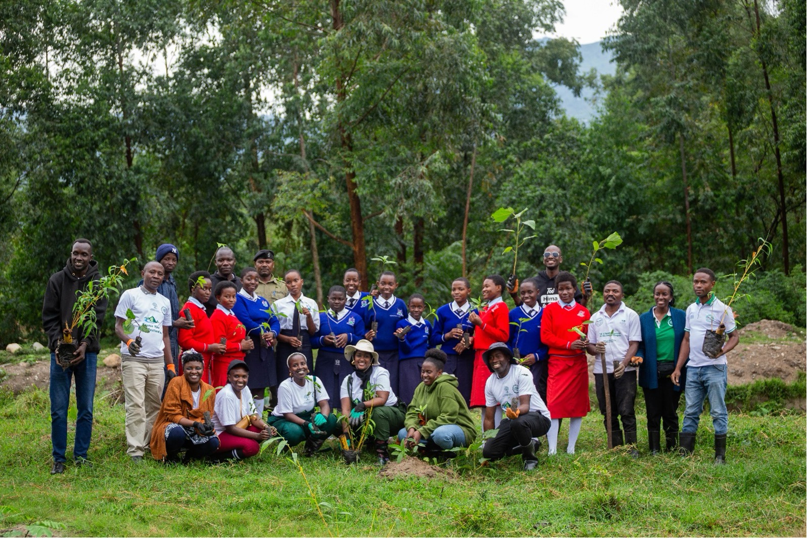 Participants hold tree seedlings during the River Rwembya restoration event