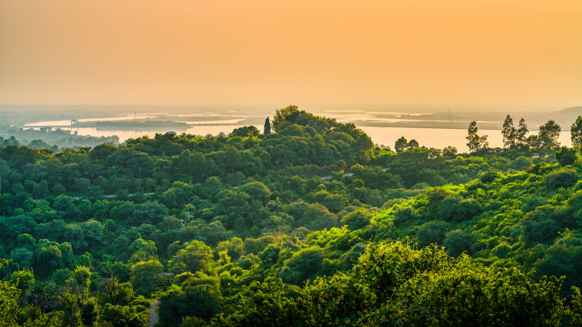📹 Beating Plastic Pollution | Greenwatch Marks World Environment Day 2025